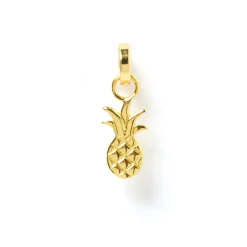 Ananas Charm