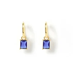 Birthstone Charm Earrings