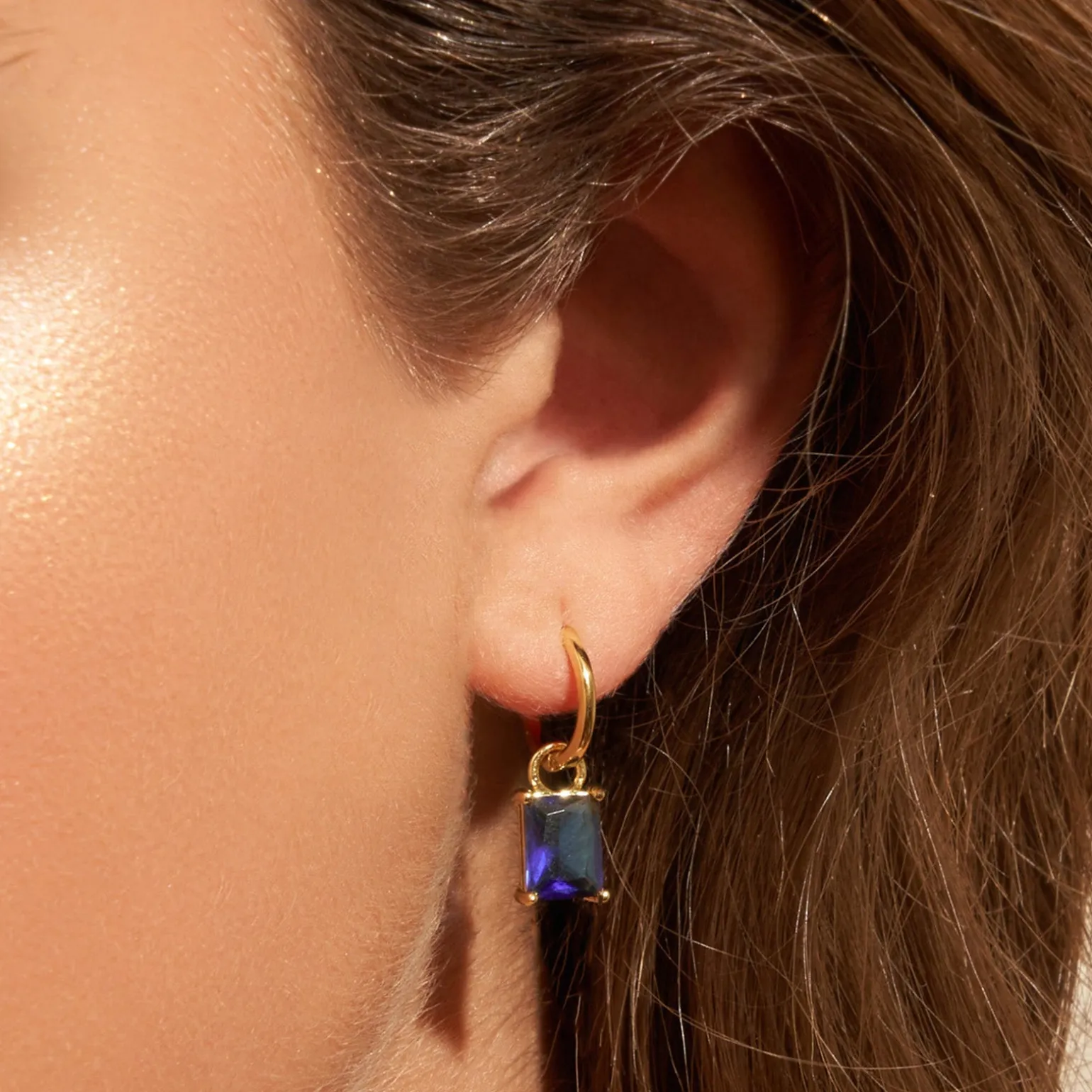 Birthstone Charm Earrings