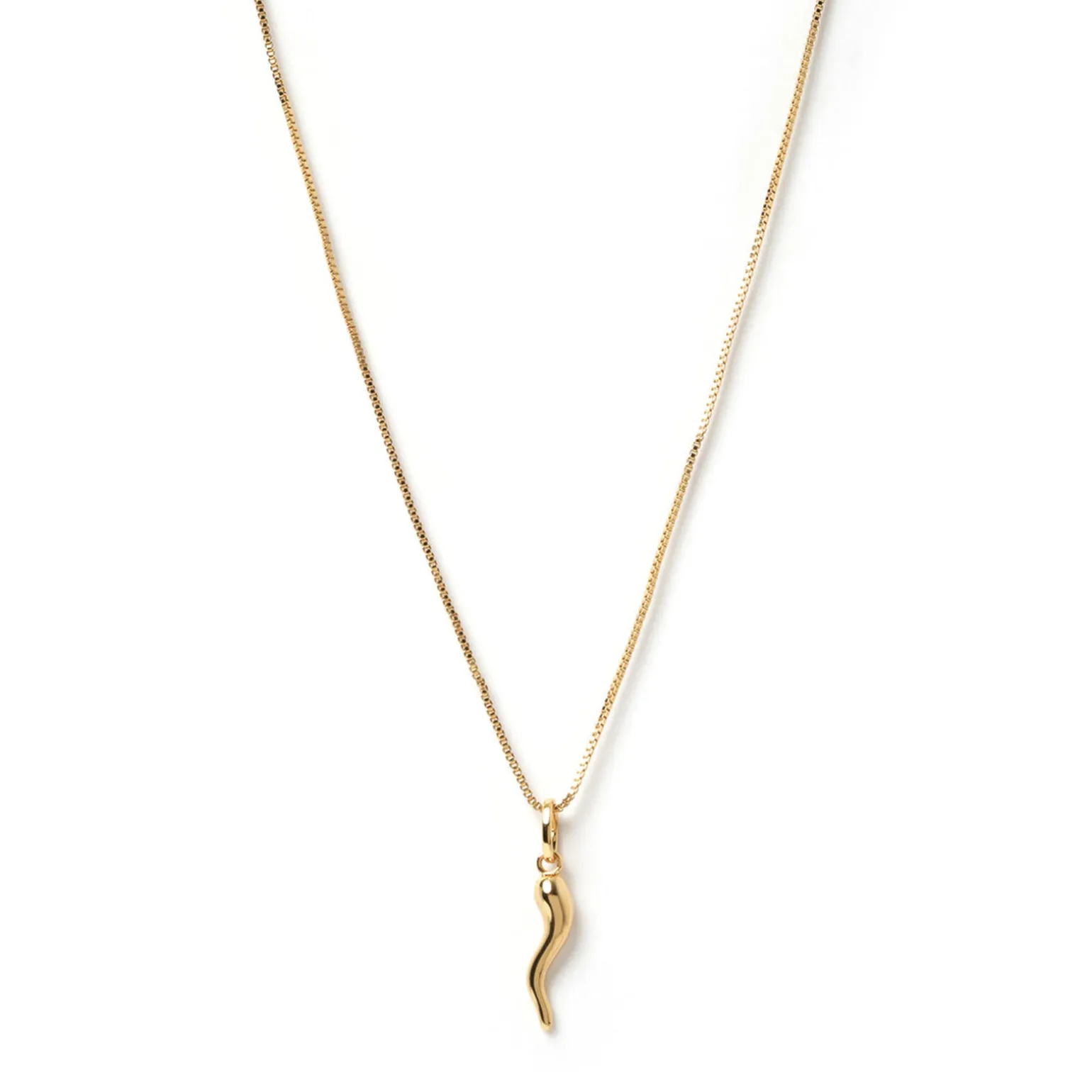 Cornicello Gold Charm Necklace - Large