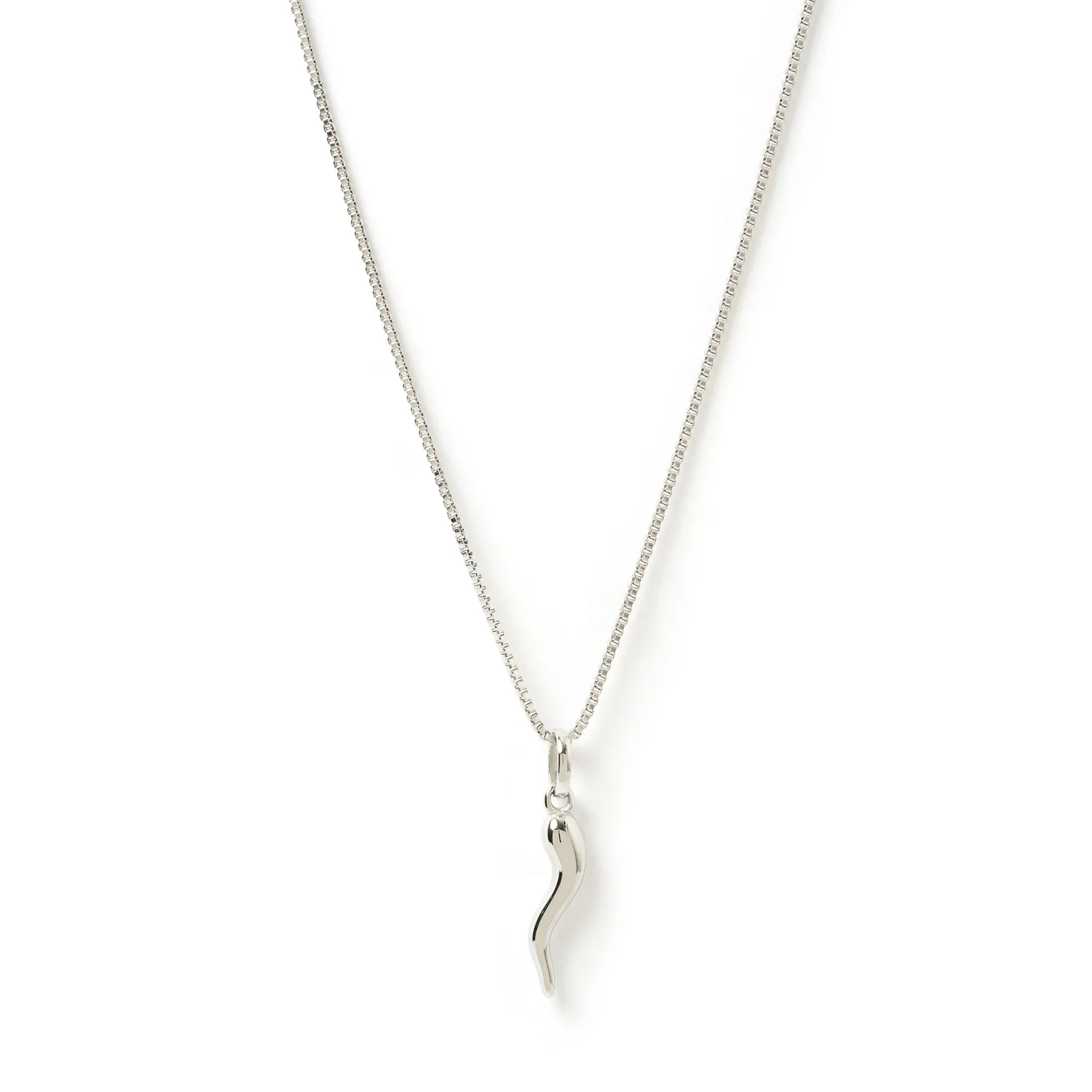 Cornicello Silver Charm Necklace