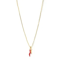 Double Cornicello Charm Combo Necklace