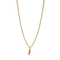 Double Cornicello Charm Combo Necklace