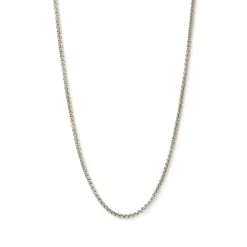 Hugo Silver Chain Necklace