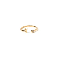 Initial Ring