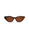 Jagger Sunglasses - Tortoise
