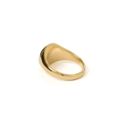 Miro Gold Signet Ring
