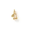 Pacha Charm