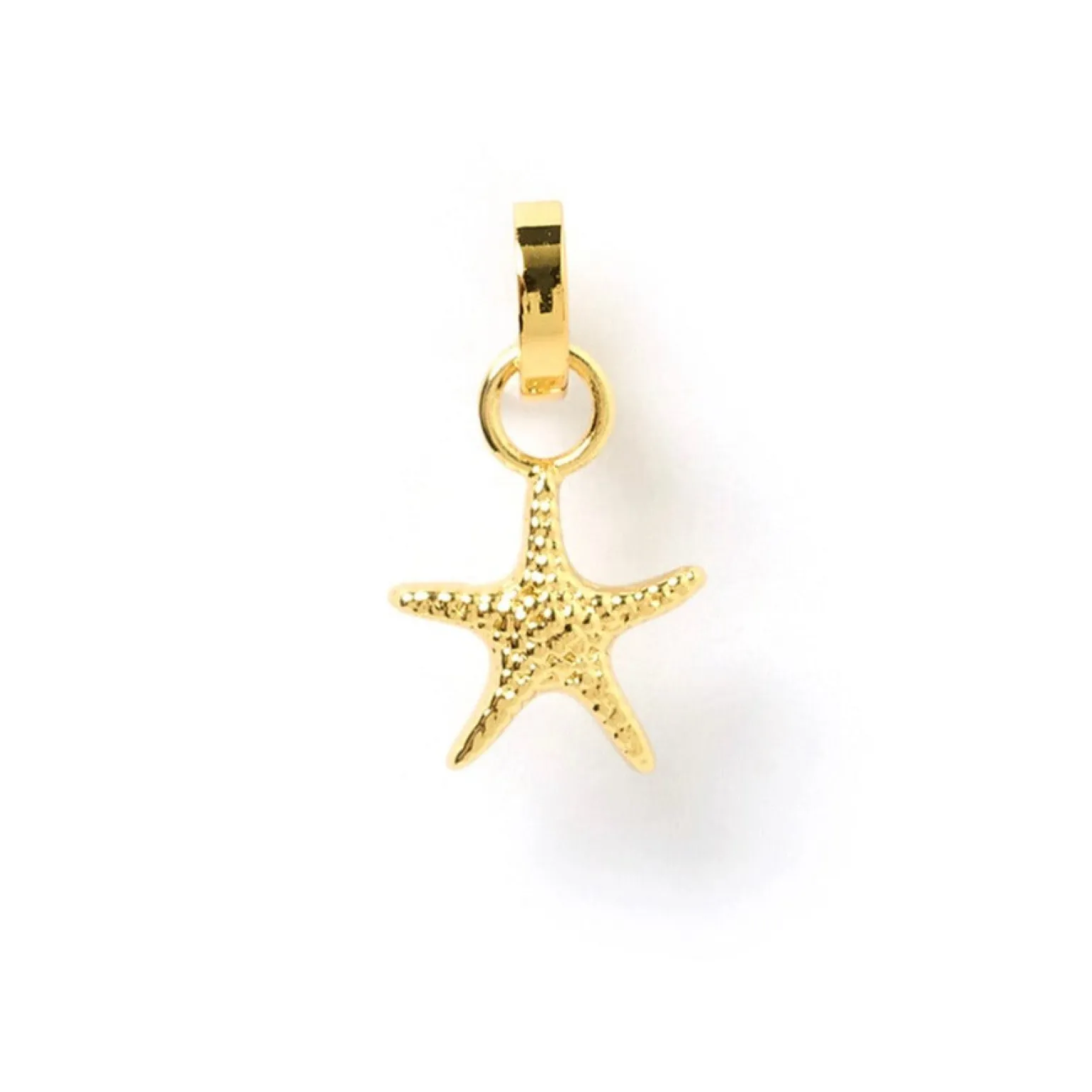 Sea Star Charm
