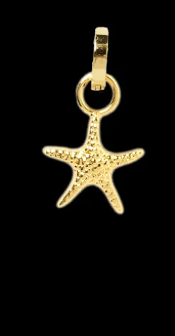 Sea Star Charm