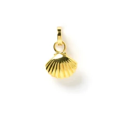 Shelli Charm