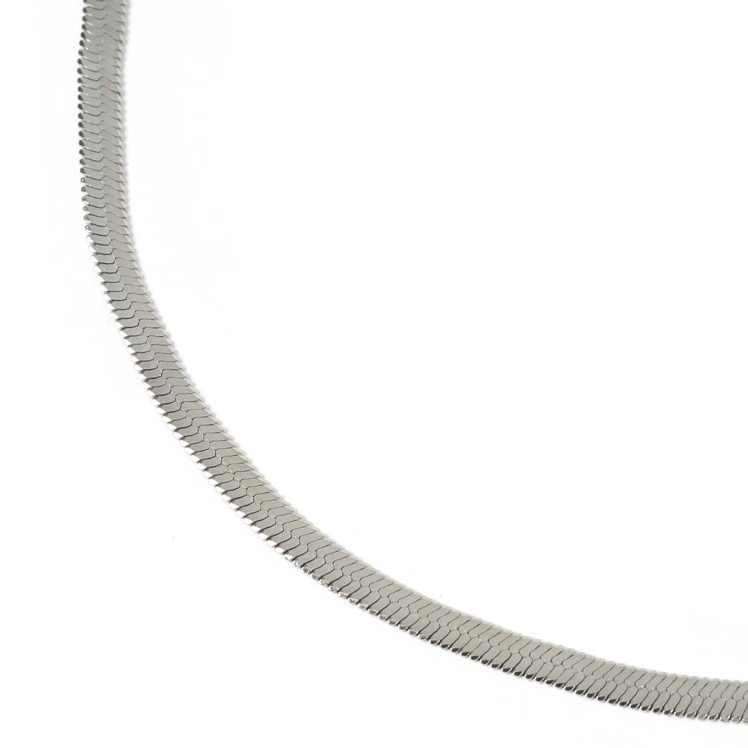 Sylvia Silver Snake Chain Necklace
