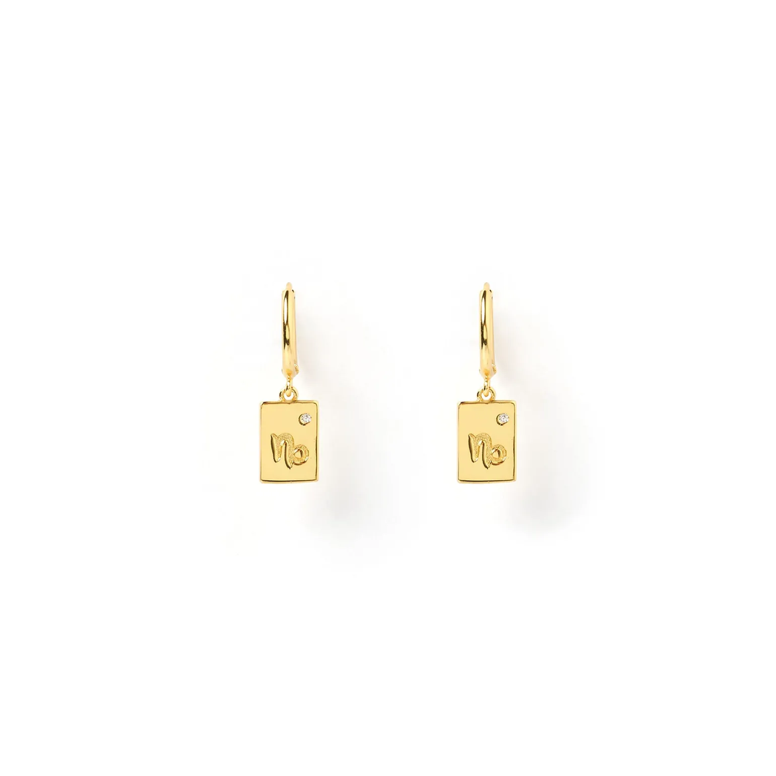 Zodiac Gold Tag Earrings