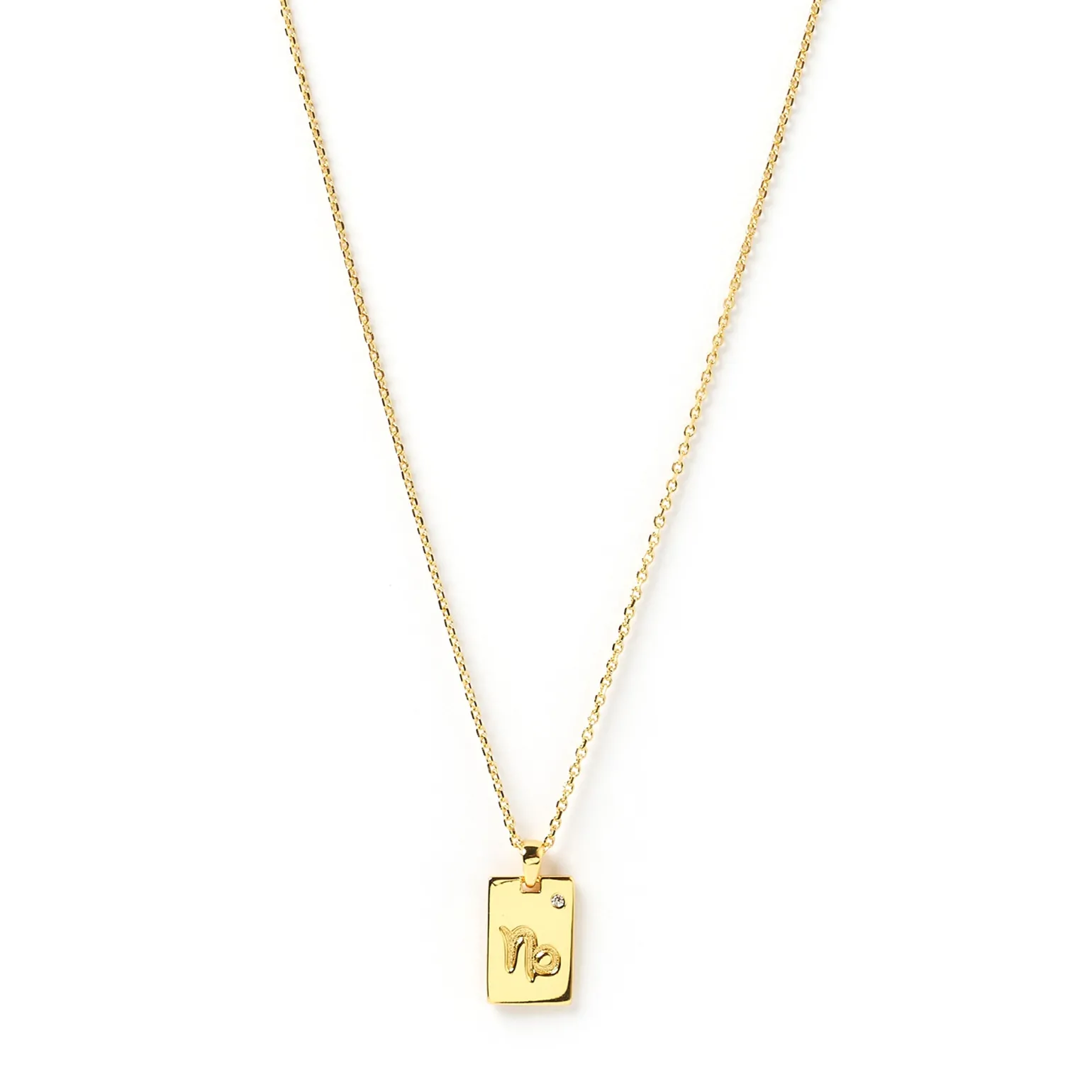 Zodiac Gold Tag Necklace