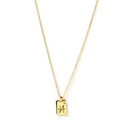 Zodiac Gold Tag Necklace