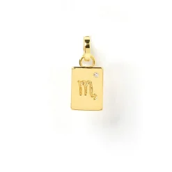 Zodiac Tag Charm