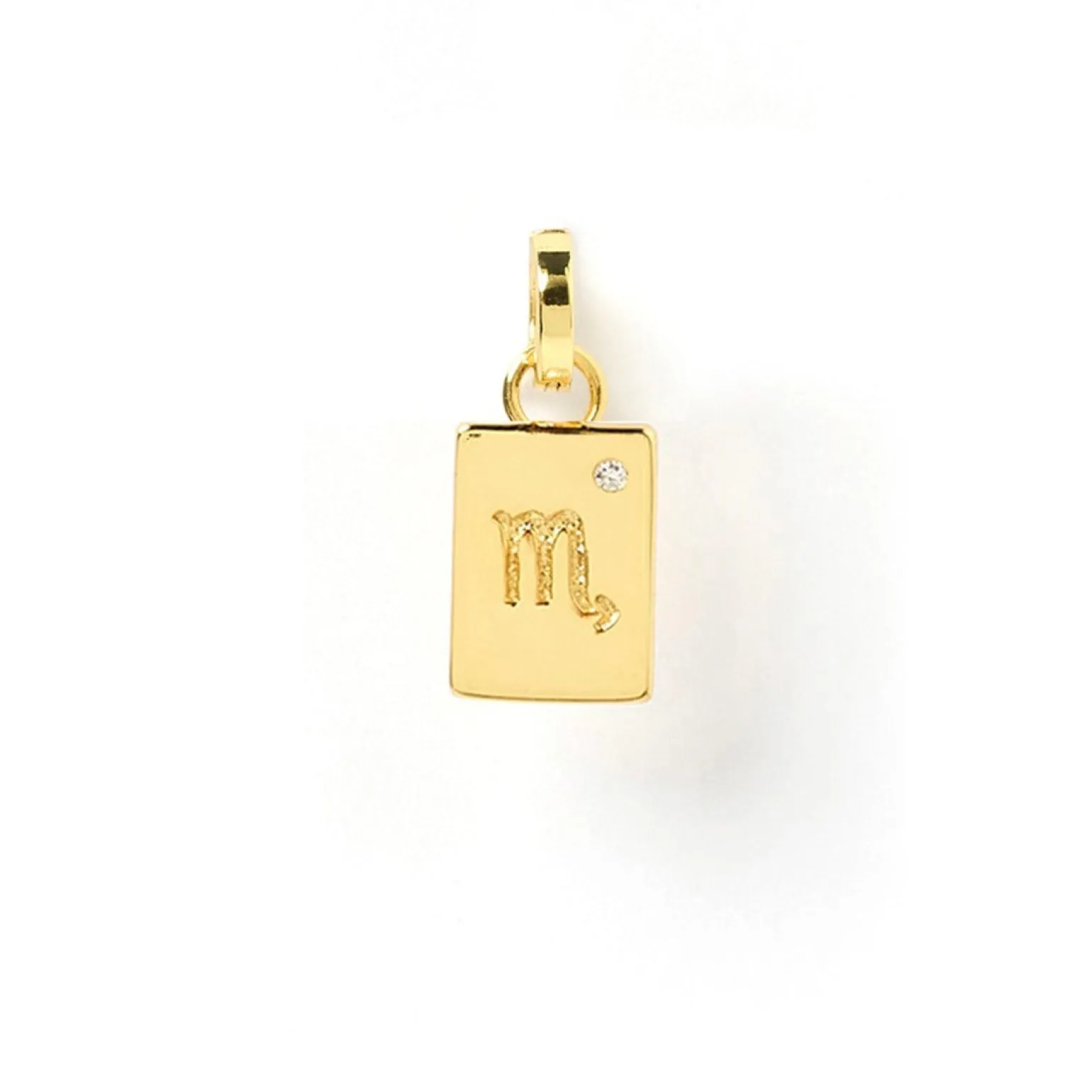 Zodiac Tag Charm