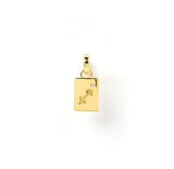 Zodiac Tag Charm
