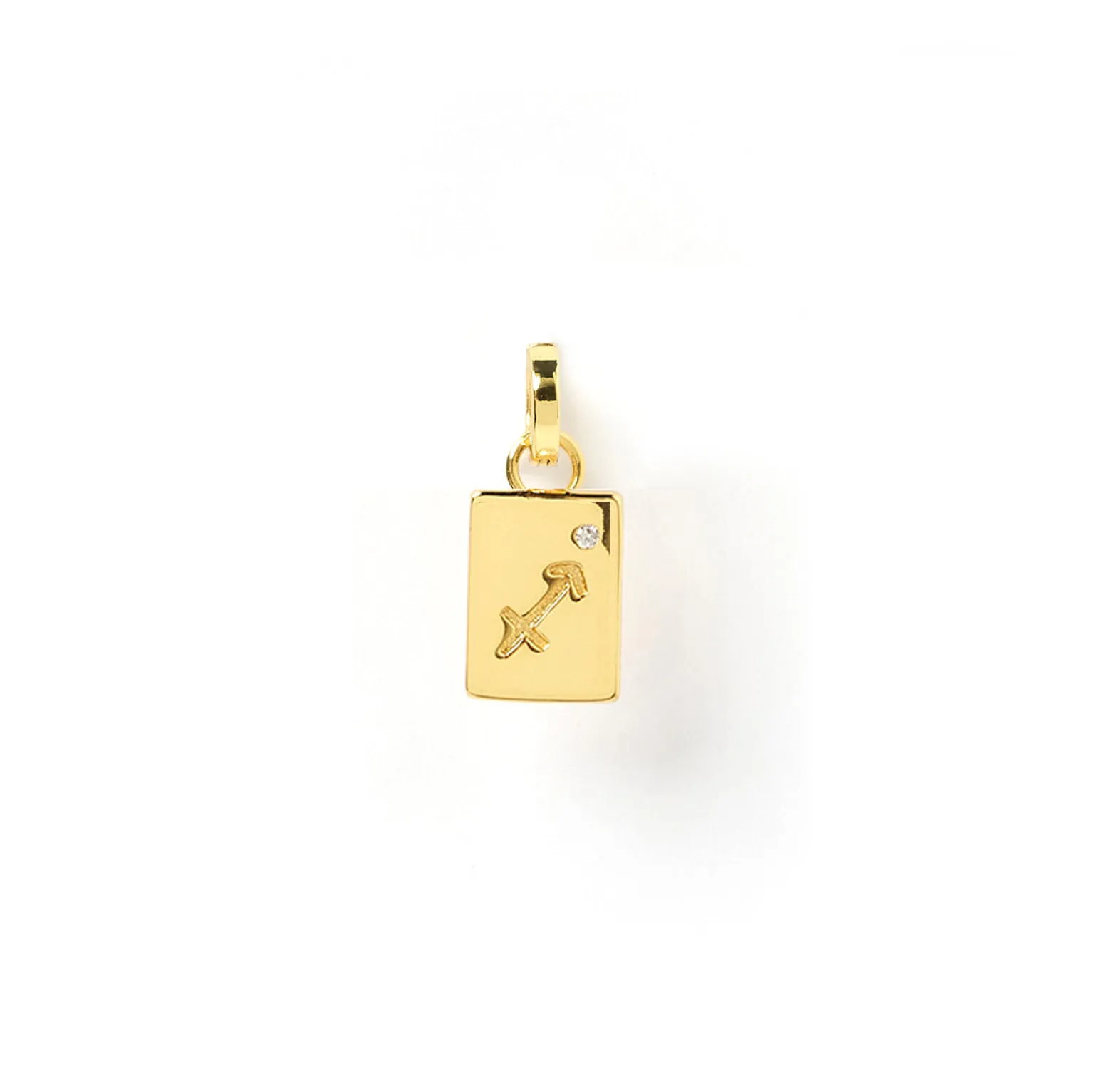 Zodiac Tag Charm