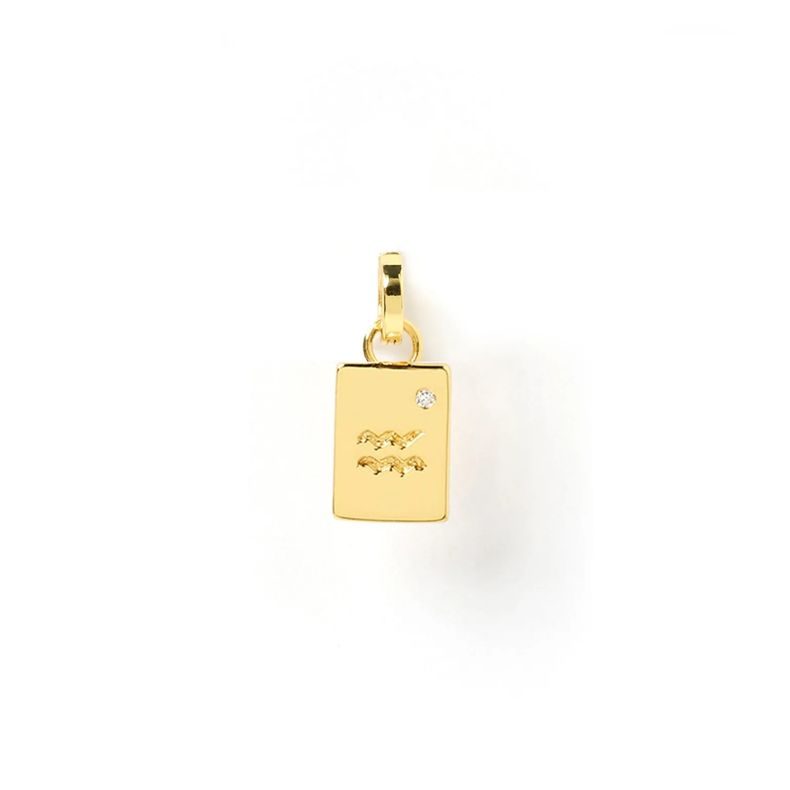 Zodiac Tag Charm