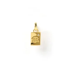 Zodiac Tag Charm