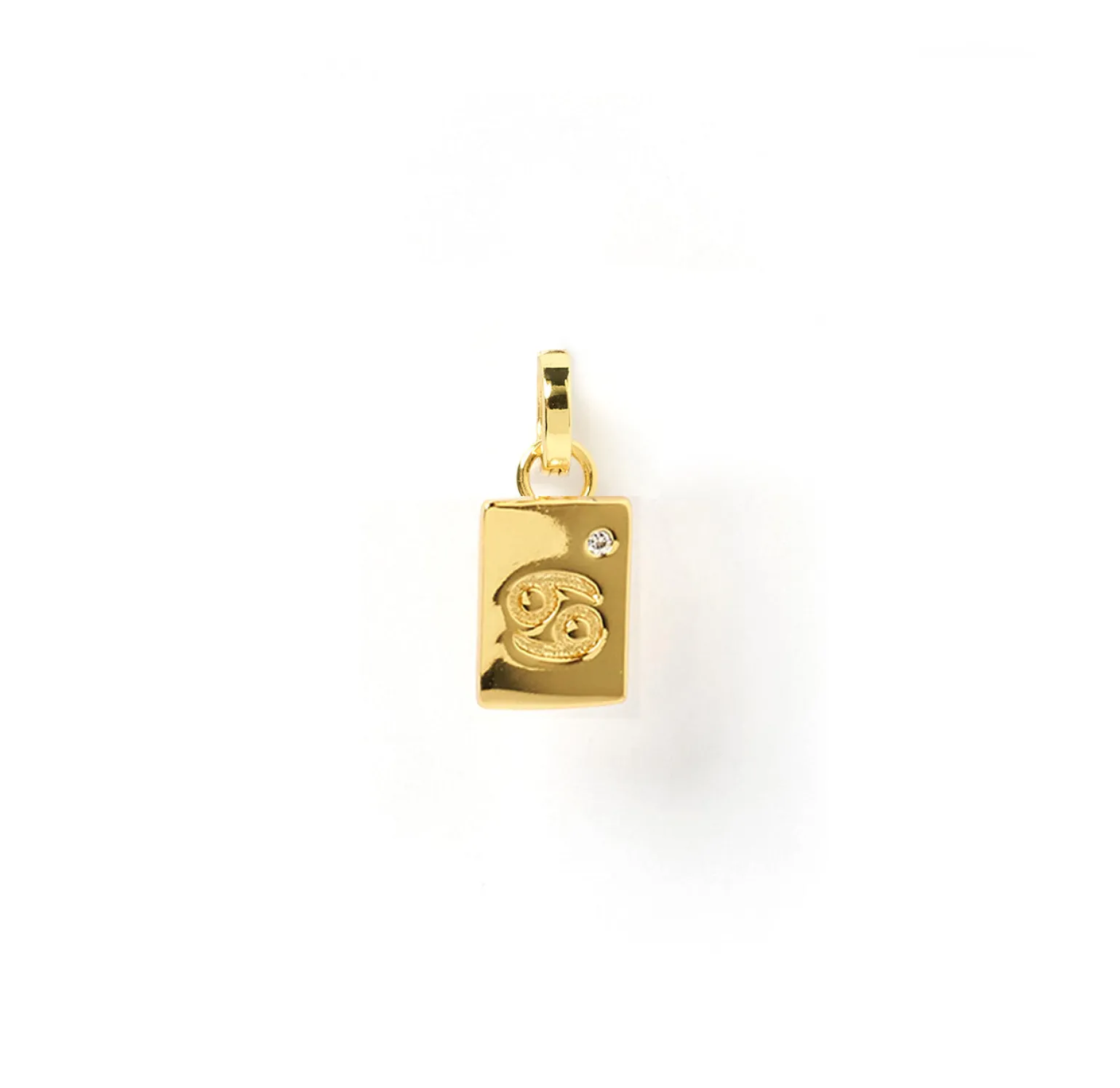 Zodiac Tag Charm