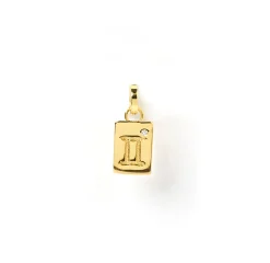 Zodiac Tag Charm