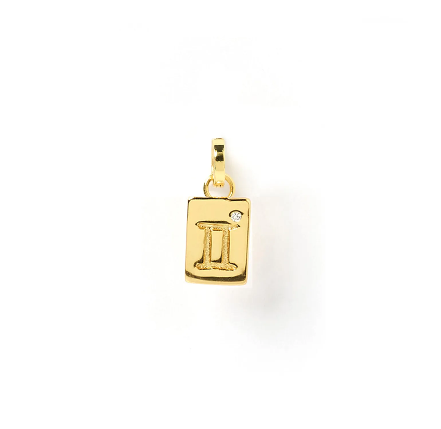 Zodiac Tag Charm