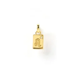 Zodiac Tag Charm