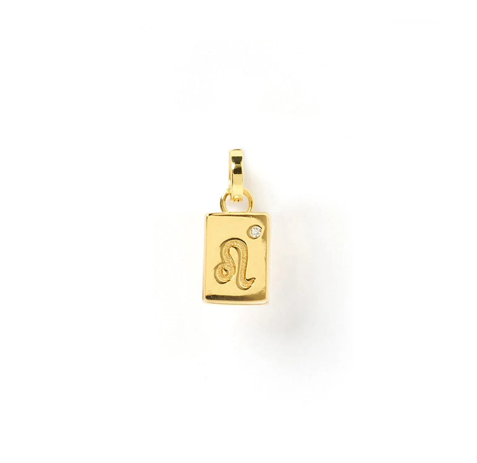 Zodiac Tag Charm