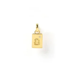 Zodiac Tag Charm