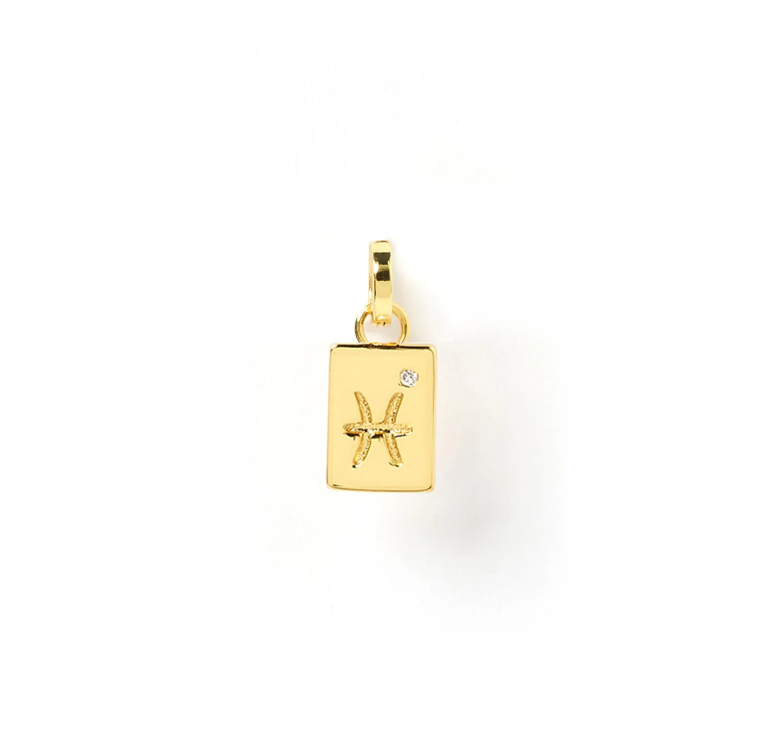 Zodiac Tag Charm